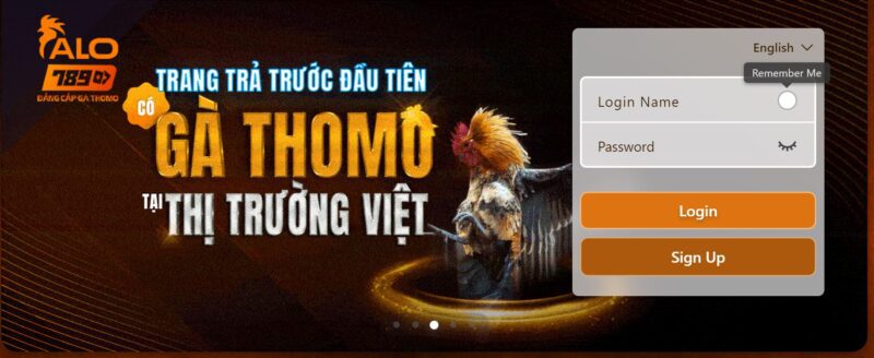Hướng dẫn tạo tài khoản đá gà thomo 2025 đơn giản và nhanh chóng 10 Đăng nhập và kiểm tra lại tài khoản đã đăng ký